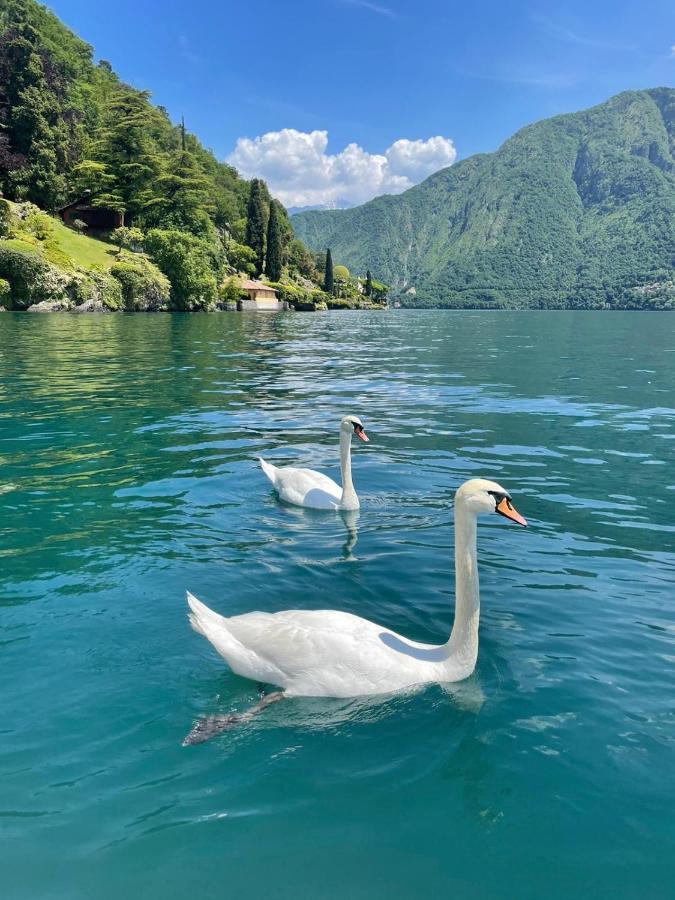 Apartamento Casacamelia 35, 3 Bdrm With View Lake Como Acquaseria Exterior foto